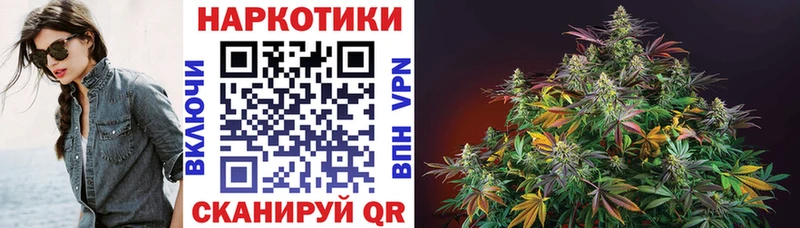  COCAIN Красавино
