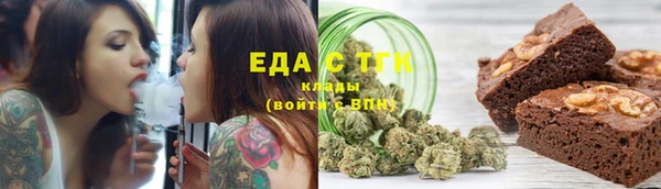дживик Ельня