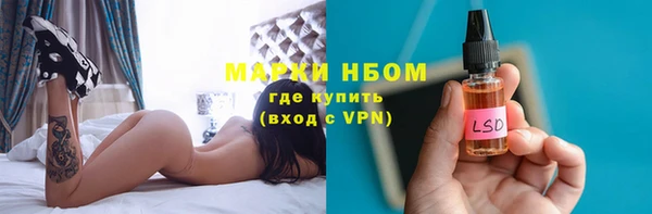 дживик Ельня