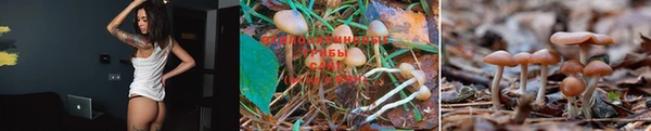 круглые Елабуга