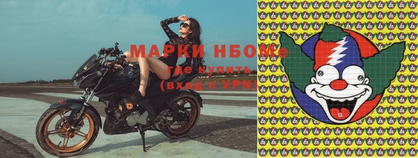дживик Ельня