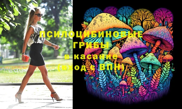 дживик Ельня