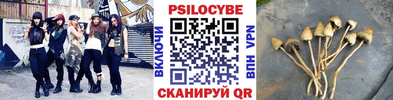 Галлюциногенные грибы Psilocybine cubensis  цены   Красавино 